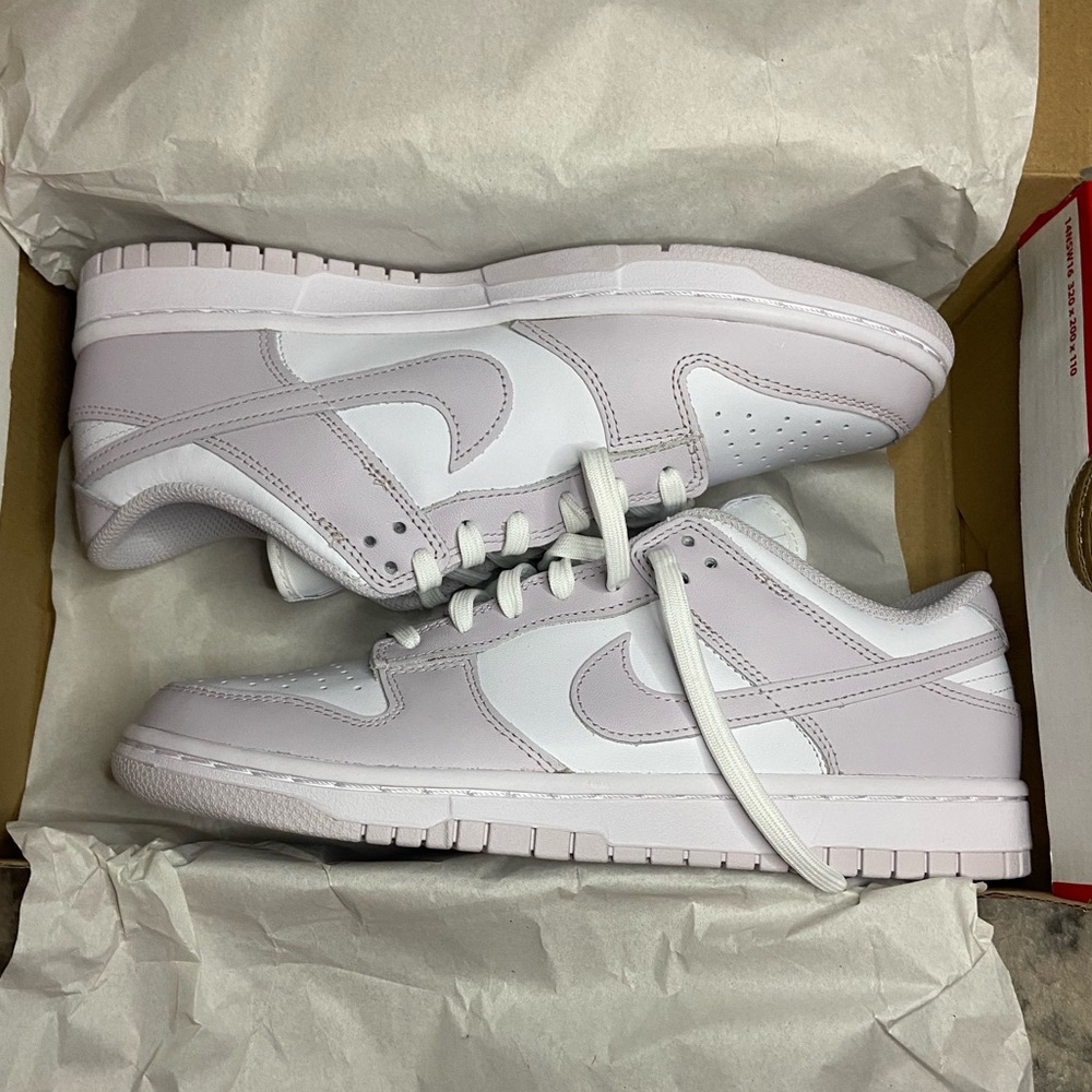 Womens Nike dunk low Venice
